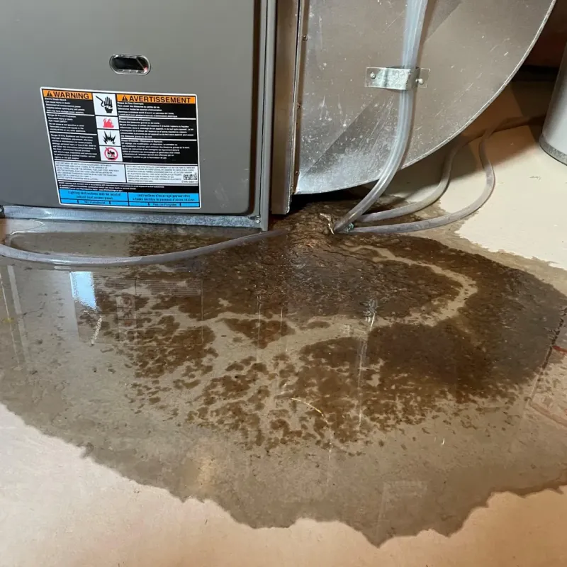 Appliance Leak Cleanup in Rutland, VT